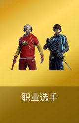 职业选手