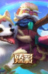 这货不是银狐 库奇