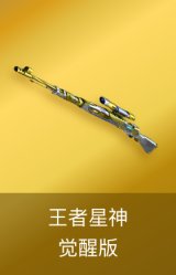 王者星神-觉醒版