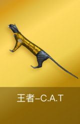 王者-C.A.T
