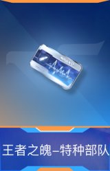 王者之魄-特种部队