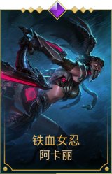 铁血女忍
