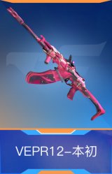 VEPR12-本初