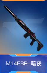 M14EBR-暗夜