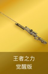 王者之力-觉醒版