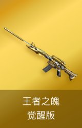 王者之魄-觉醒版