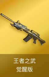 王者之武-觉醒版