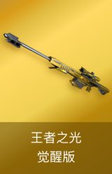 王者之光-觉醒版