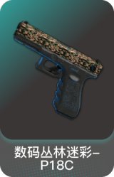 数码丛林迷彩-P18C