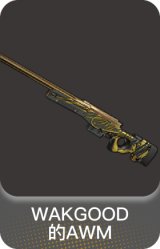 WAKGOOD 的AWM