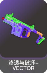 渗透与破坏-VECTOR