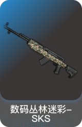 数码丛林迷彩-SKS