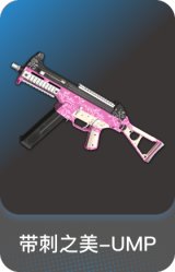 带刺之美-UMP