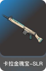 卡拉金瑰宝-SLR