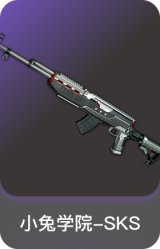 小兔学院-SKS