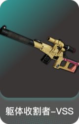 躯体收割者-VSS