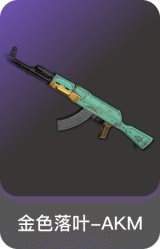 金色落叶-AKM