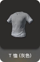 T 恤 (灰色)