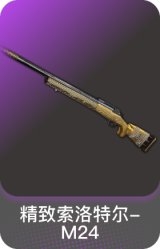 精致索洛特尔-M24