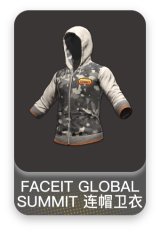 FACEIT GLOBAL SUMMIT 连帽卫衣