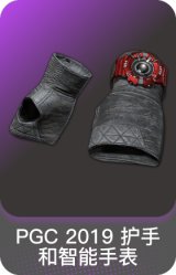 PGC 2019 护手和智能手表