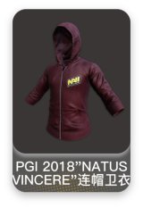 PGI 2018"NATUS VINCERE"连帽卫衣