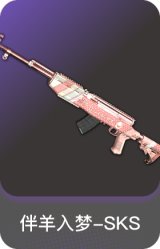 伴羊入梦-SKS