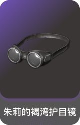 朱莉的褐湾护目镜