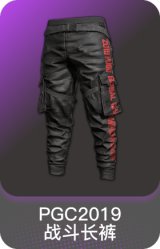 PGC 2019 战斗长裤