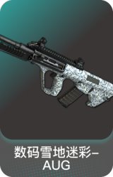 数码雪地迷彩-AUG