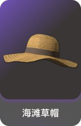 海滩草帽