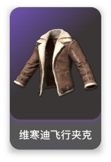 维寒迪飞行夹克