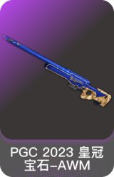 PGC 2023 皇冠宝石-AWM
