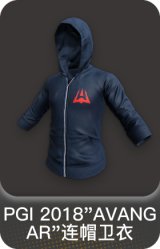 PGI 2018"AVANGAR"连帽卫衣