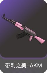 带刺之美-AKM