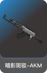 暗影斑驳-AKM