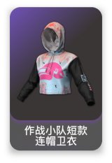 作战小队短款连帽卫衣