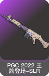 PGC 2022 王牌登场-SLR