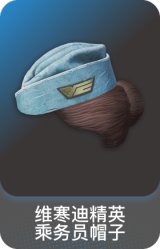 维寒迪精英乘务员帽子