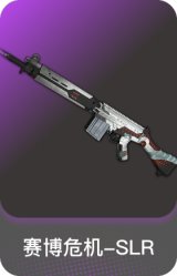 赛博危机-SLR