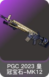 PGC 2023 皇冠宝石-MK12