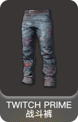 TWITCH PRIME 战斗裤