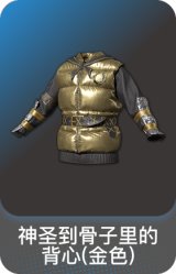 神圣到骨子里的背心(金色)