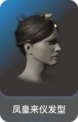 凤皇来仪发型