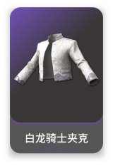 白龙骑士夹克