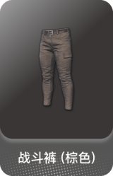 战斗裤 (棕色)