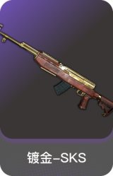 镀金-SKS