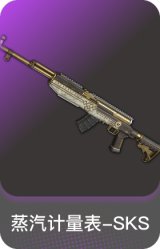 蒸汽计量表-SKS