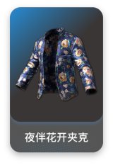 夜伴花开夹克