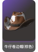 牛仔卷边帽(棕色)